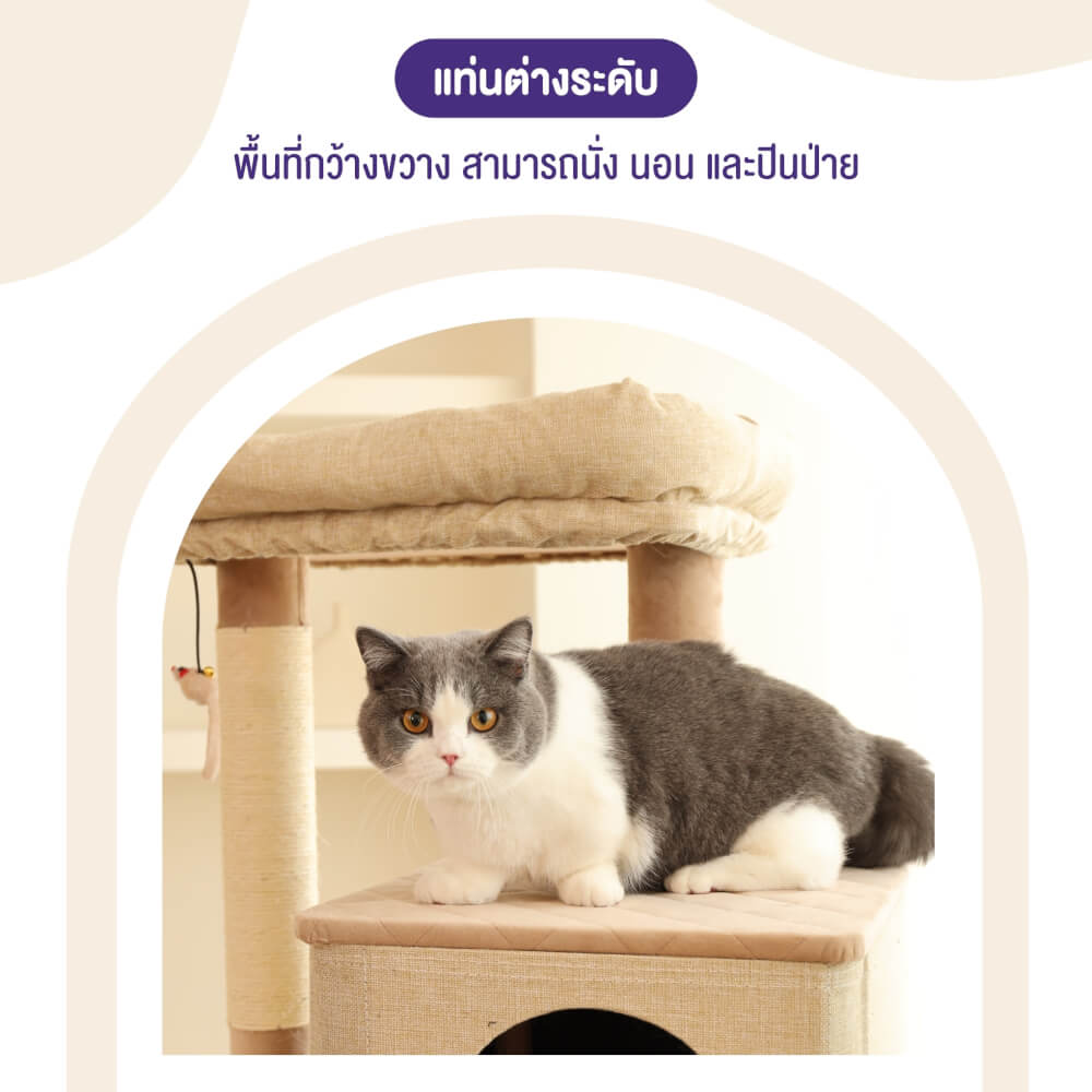 คอนโดแมว Catry รุ่น Cat Tree Yara สีเบจ
